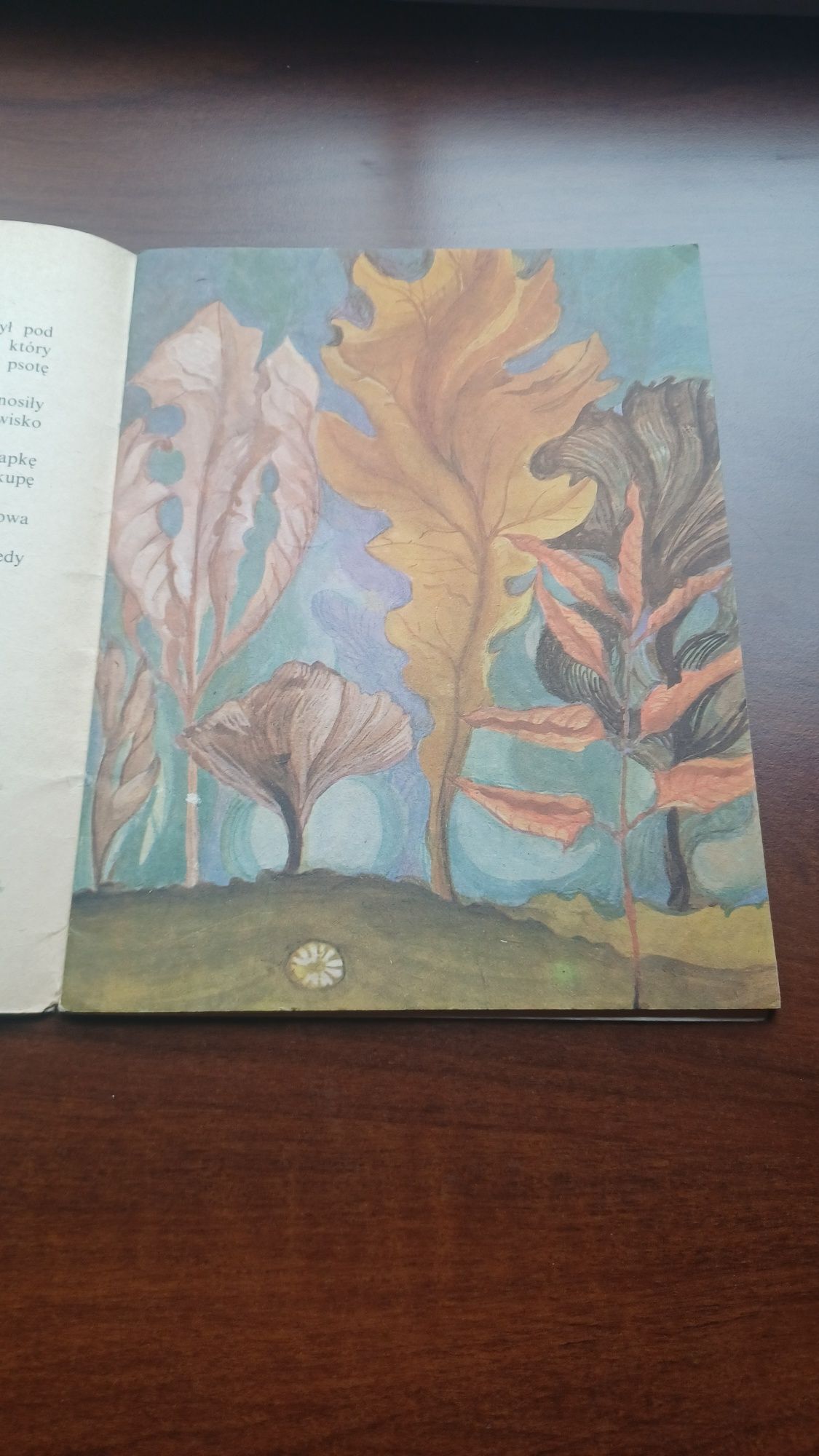 Szewczyk Dratewka -książka z 1982