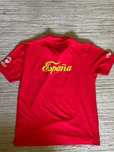 Polo Espanha euro 2008