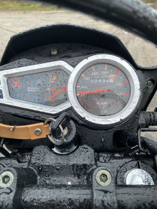 Продам лонкин прус