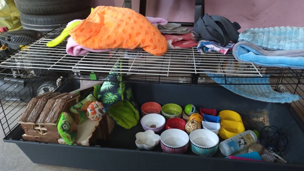 Wyprawka dla świnki morskiej/krolika