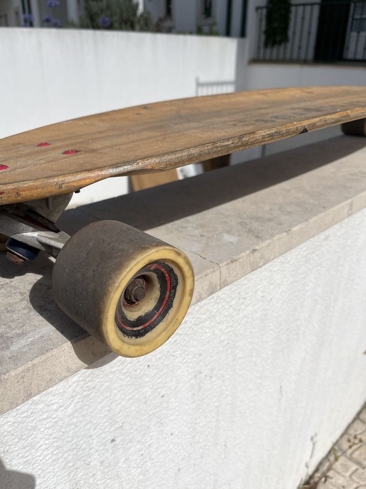 Skate long Board
