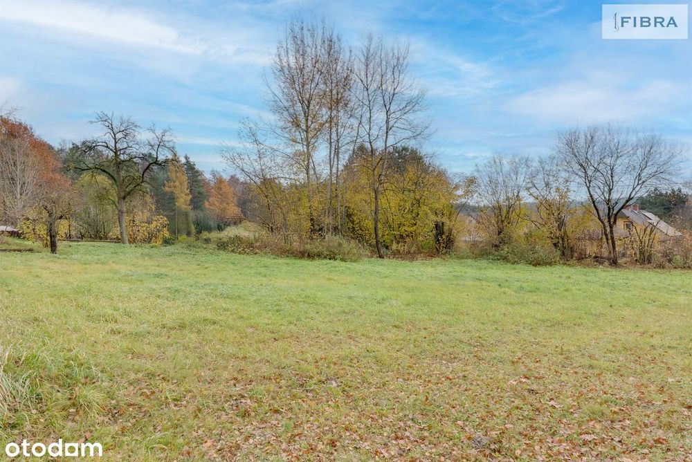 Pod samiutkim lasem? Z dala od miasta?