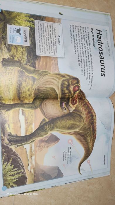 O magnífico livro dos dinossauros