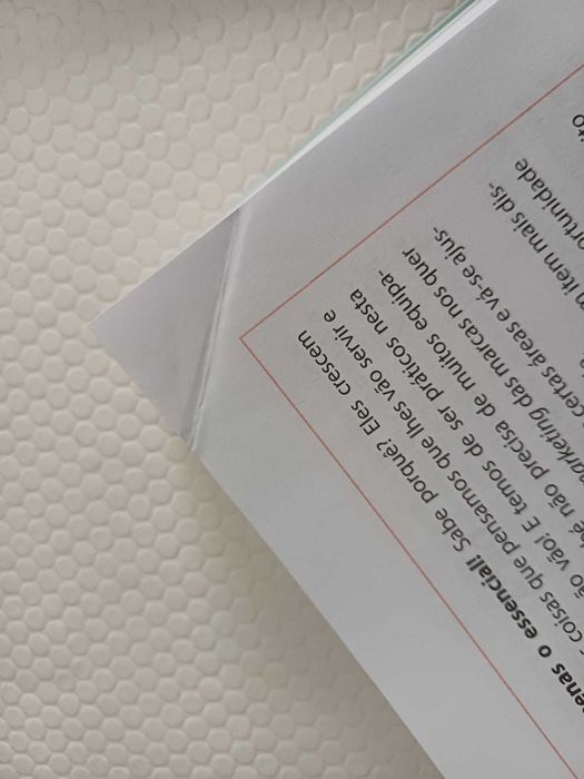 Livro Estamos Grávidos e Agora? de Carmen Ferreira