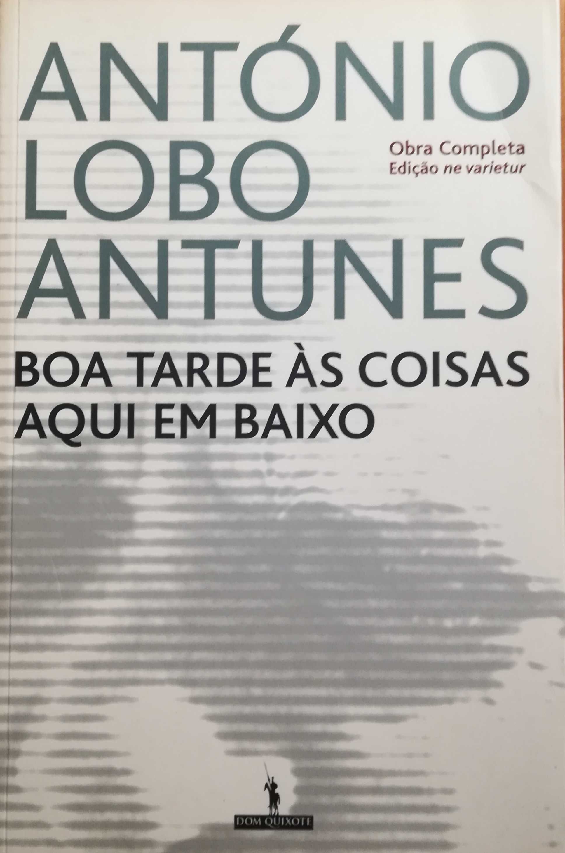 Livro - Boa Tarde às Coisas Aqui em Baixo - António Lobo Antunes