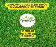 Trawnik  z rolki z siewu  automatyczne nawadnianie wycinka kostka bruk