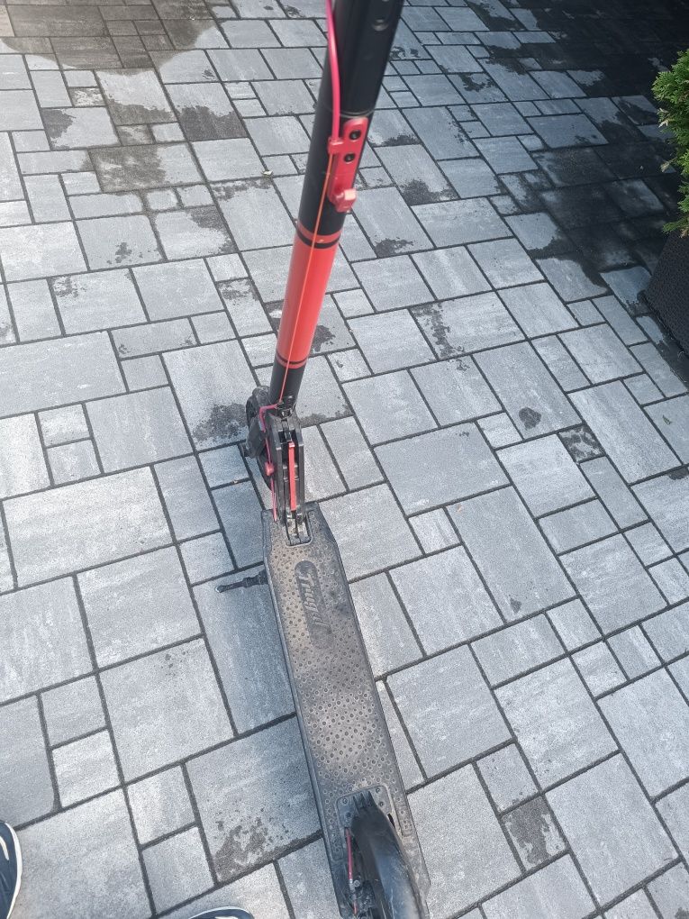 Hulajnoga Frugal Dynamic