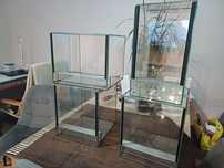 Terrarium na sprzedaż
