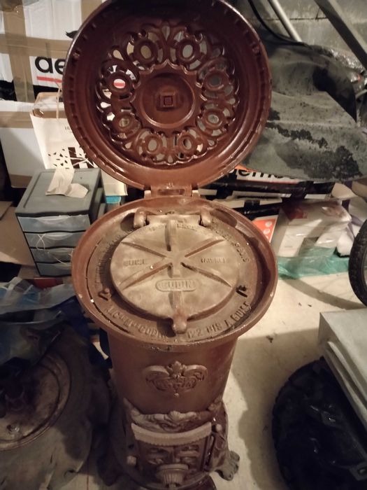 Salamandra de cor castanha