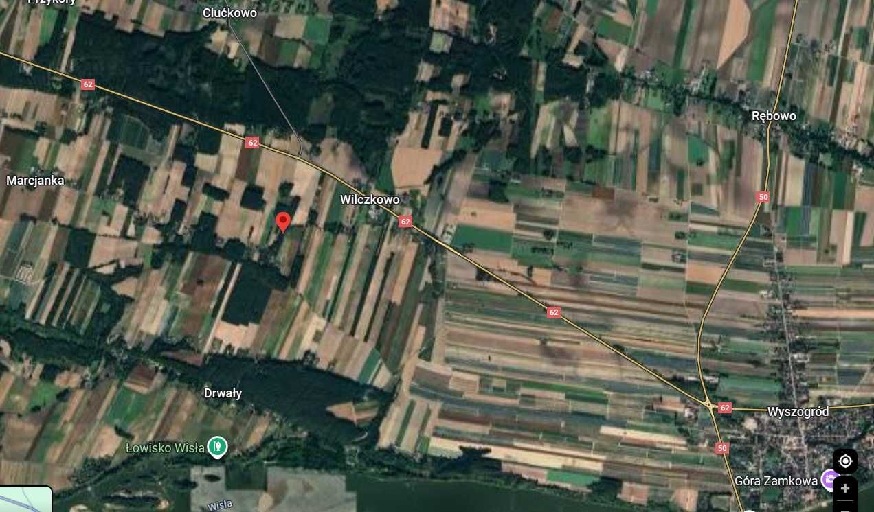 Działka leśna 3999 m2 z domkiem drewnianym z dużym potencjałem