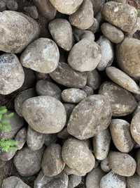 Pedra rolada para jardim