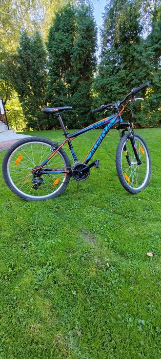 Rower Alpina 26 cali