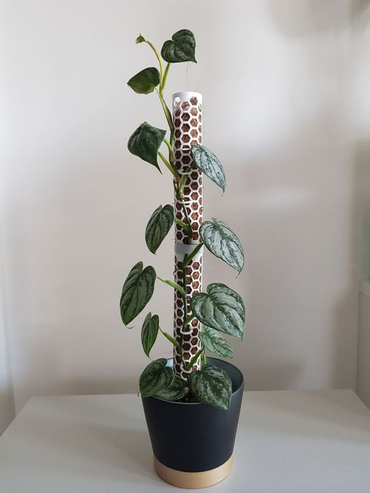 Опора, мохова опора, кашпо, лопата, тримачі для рослин