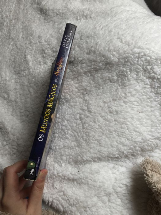 Os Mundos Mágicos de Harry Potter de David Colbert livro