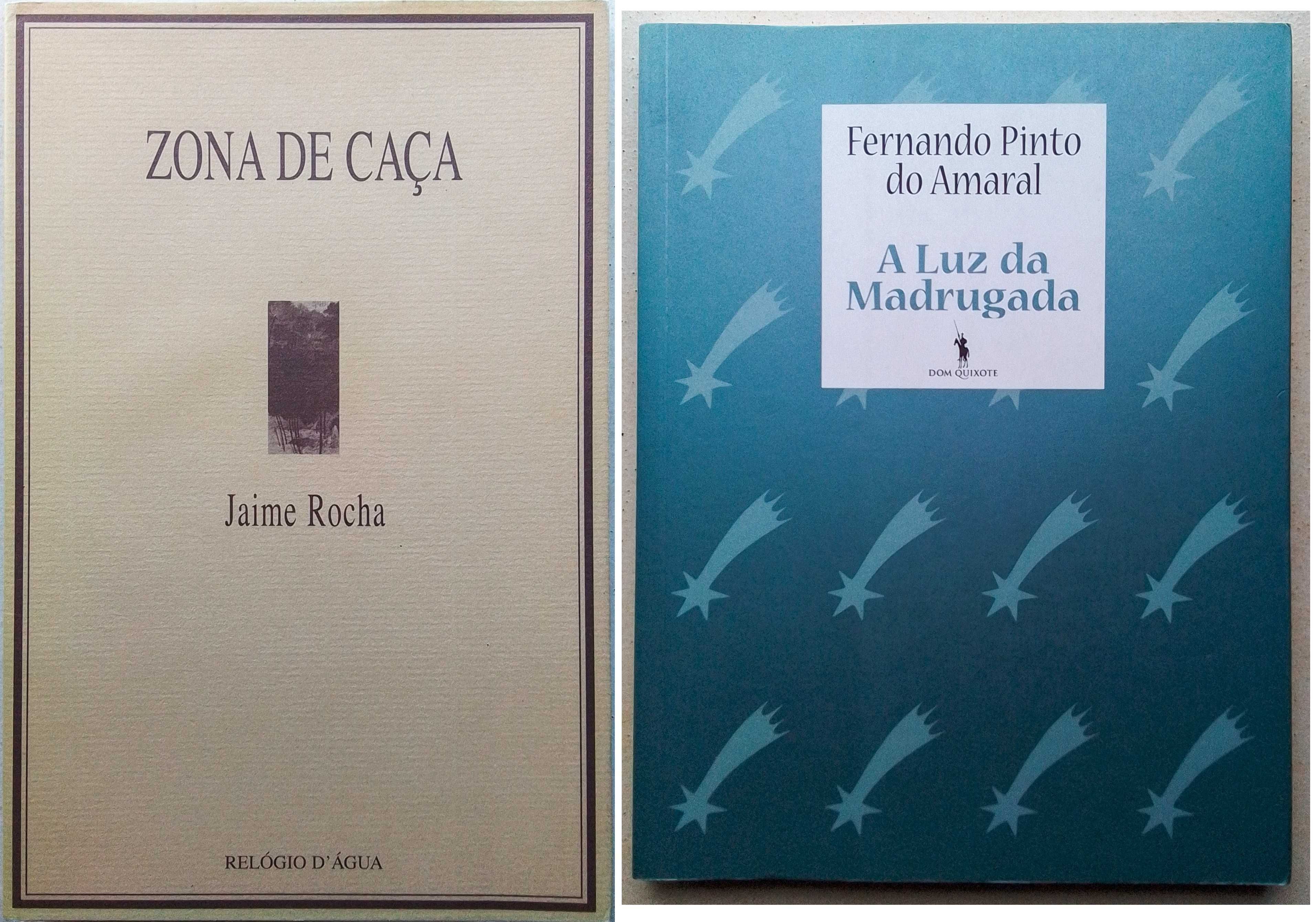 Lote de 23 livros de poesia