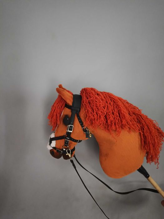 Sprzedam hobby horse A4