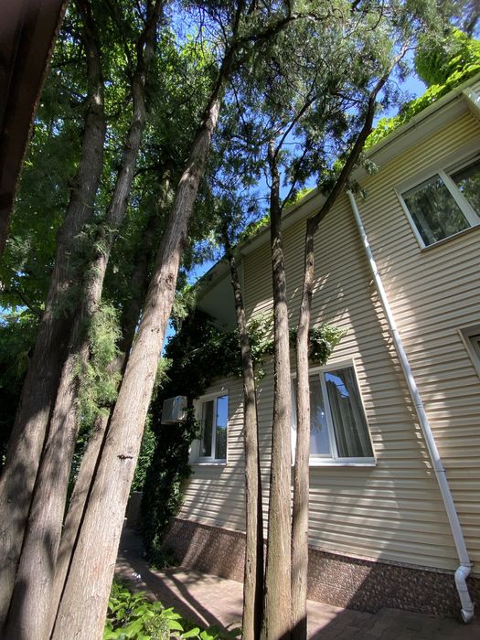 Сдам дом в Аркадии. Хрустальный переулок. Красивый участок, до мая.