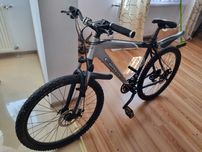 Rower górski kraken carrera