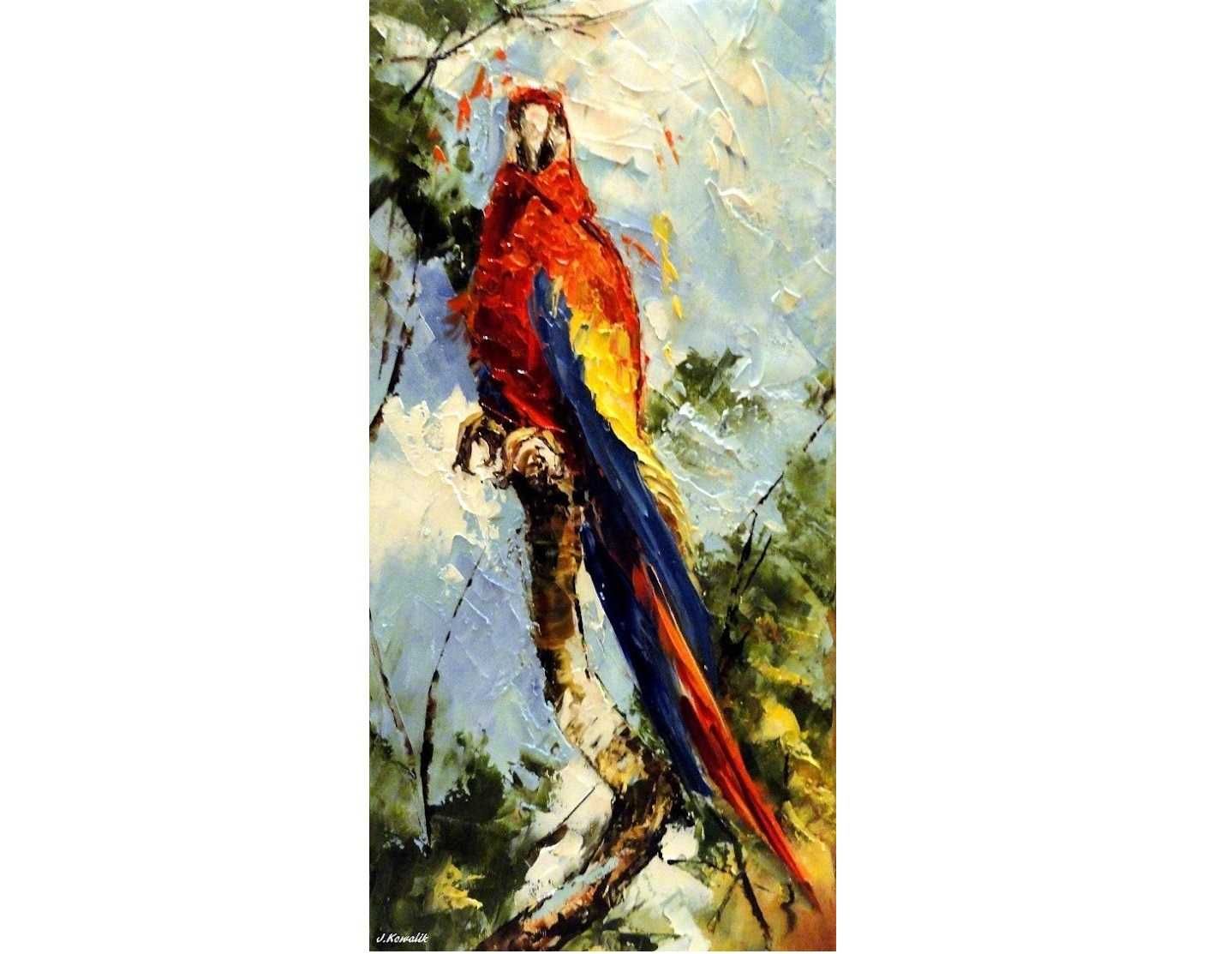 Obraz olejny - 20x40 papuga Ara