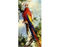 Obraz olejny - 20x40 papuga Ara