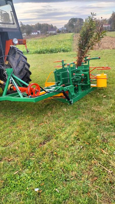 Wiklina zielona - koszenie