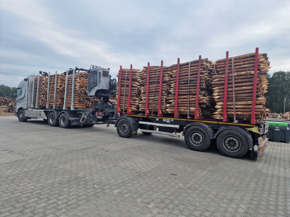 PALIKI - MELIORACJA faszyna i palisada, kołki, pale L=0,8 - 3,0m