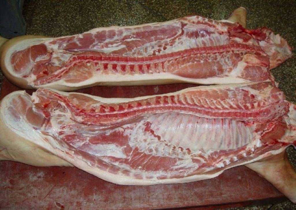 М'ясо свиней, жива вага,
