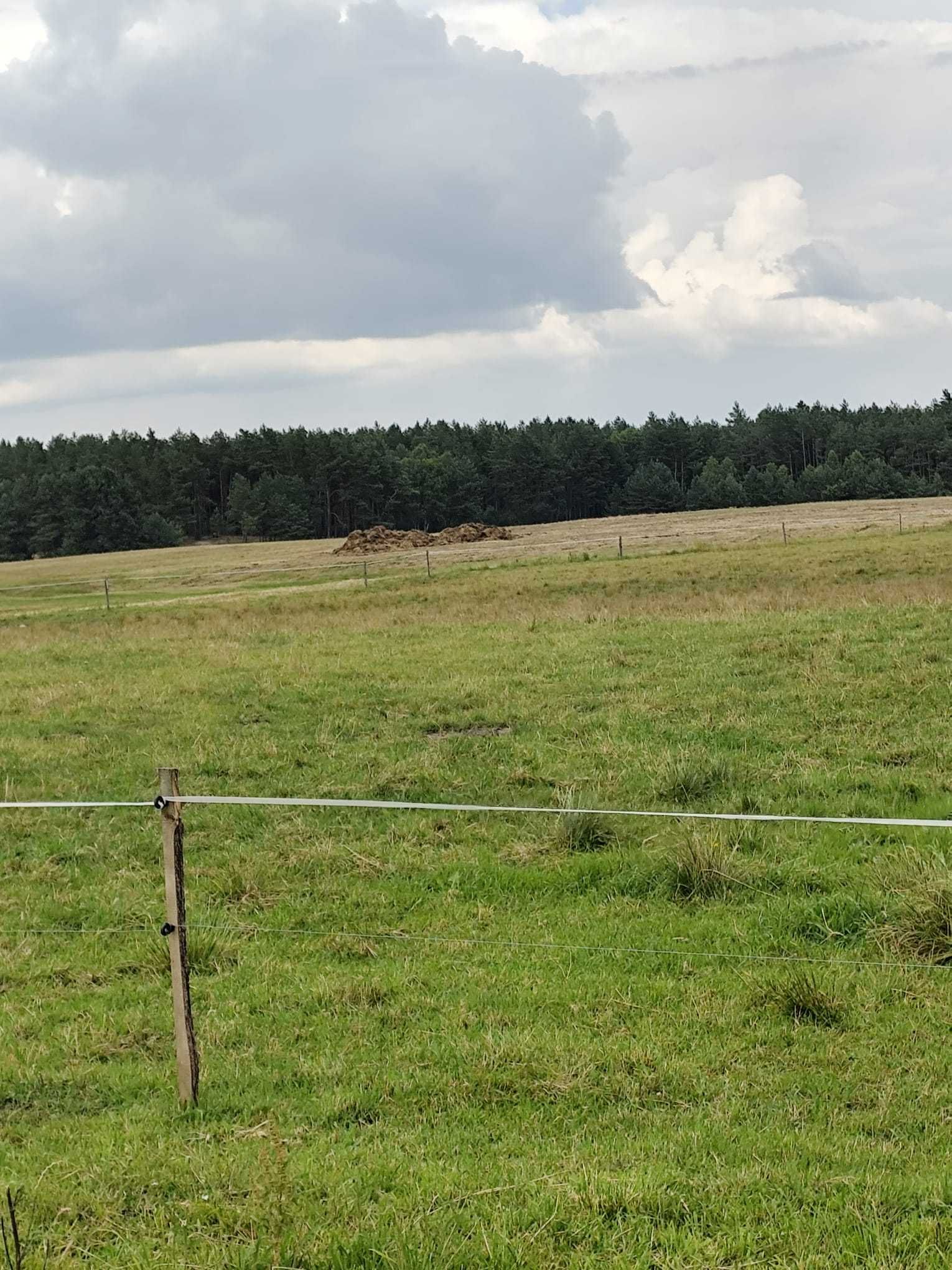 Piękna działka siedliskowa w malowniczej wsi