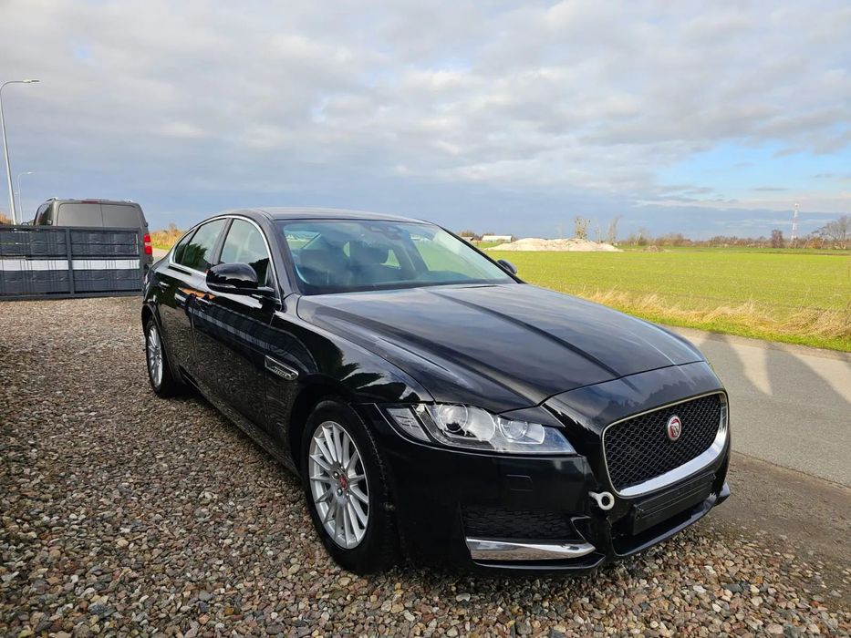 Jaguar XF Okazja