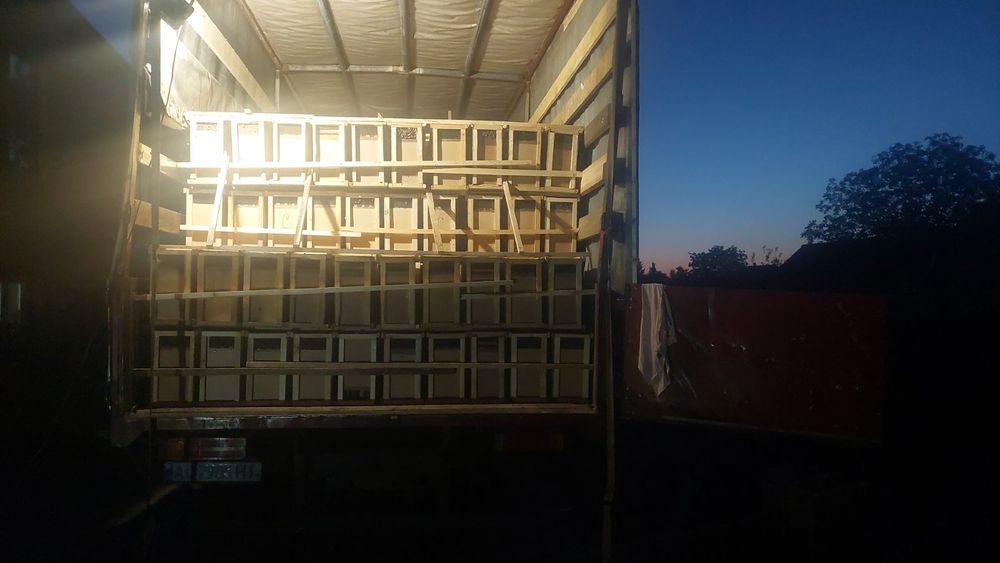 Карпатка тип Вучківський бджолопакети