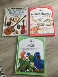 Zestaw 3 książek dla dzieci instrumenty muzyczne Jak żyją Ptaki