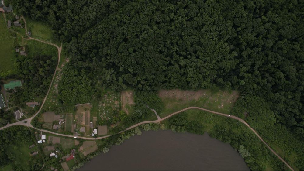 Продам ділянку біля лісу і води