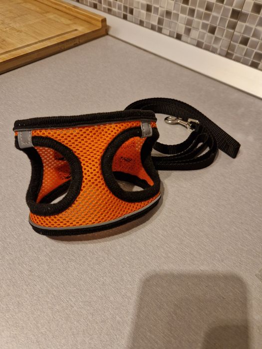 Nowe pomarańczowo-czarne - Szelki, uprząż, smycz dla kota, psa, roz. S