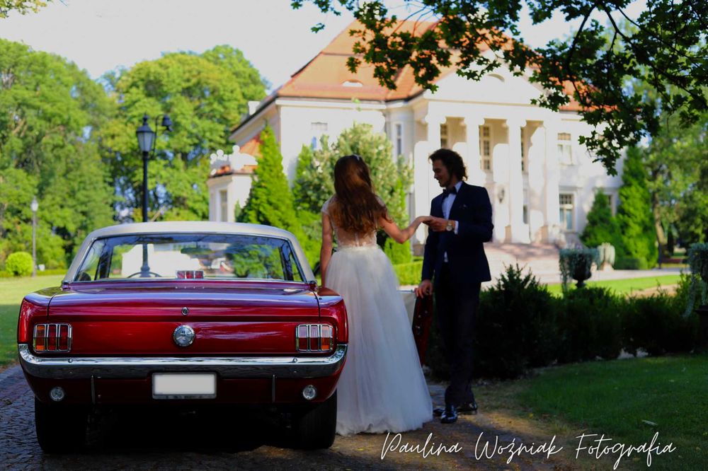 Auto/ Samochód/Klasyk do ślubu.  Ford Mustang 1966r.