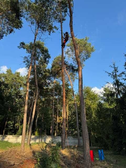 koszenie ,karczowanie ,pielęgnacja, wycinka drzew.