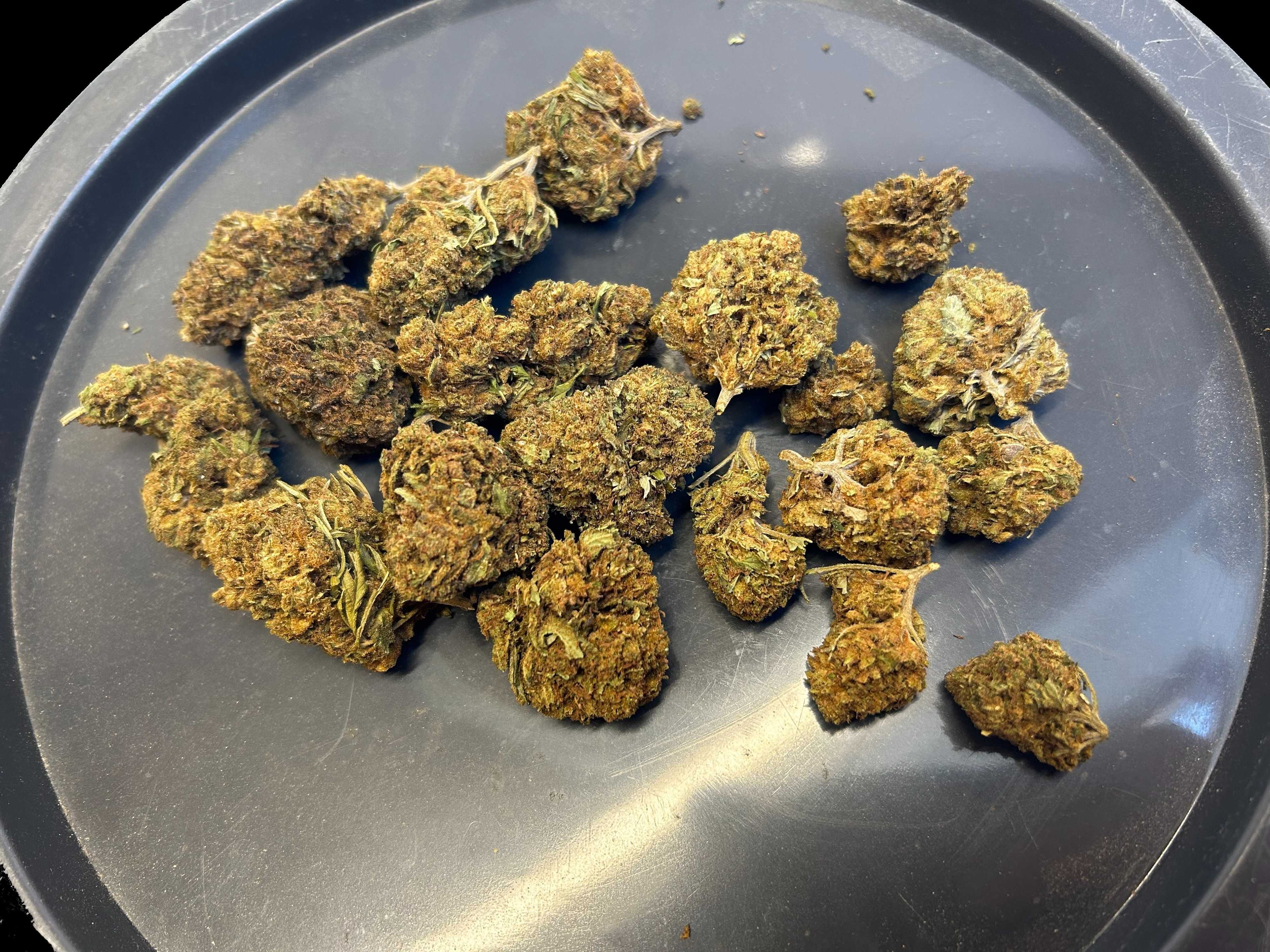 LEMON HAZE CBD 1KG Susz Konopny PREMIUM Naturalny Top Weed Hurt