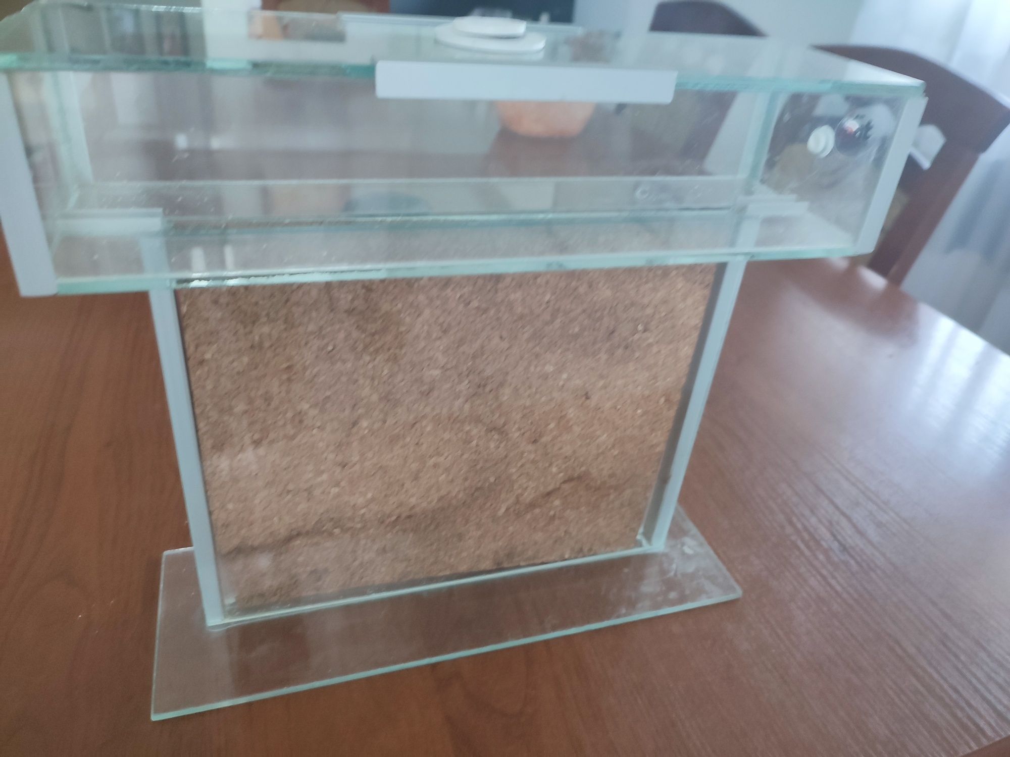 Formikarium do chodowli mrówek