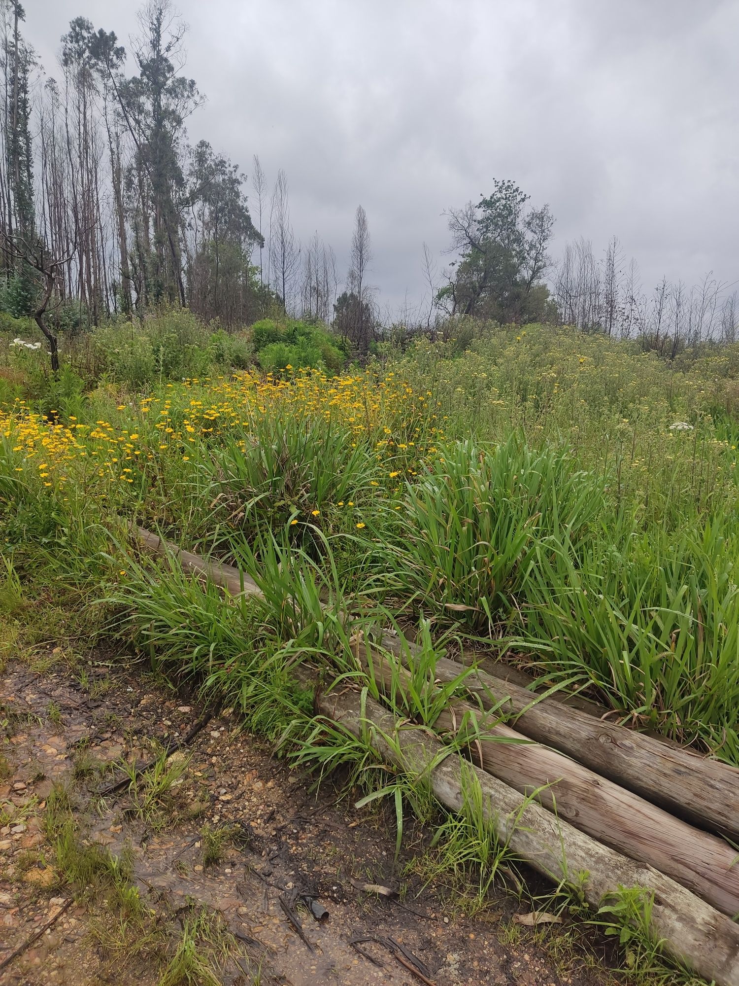 Terreno para construção