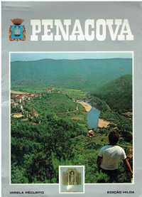 10692 Livros sobre Penacova /Mortágua / Vila nova de Poiares