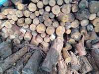 Drewno opałowe 140 zł za metr