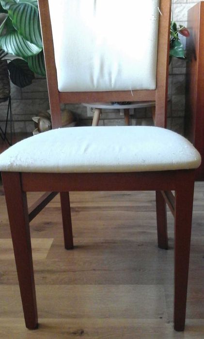 Cadeiras de sala em cerejeira