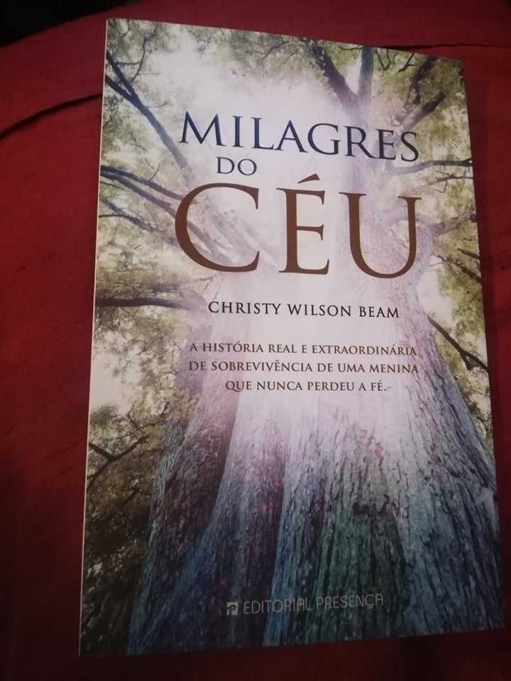 Milagres do Céu de Christy Beam