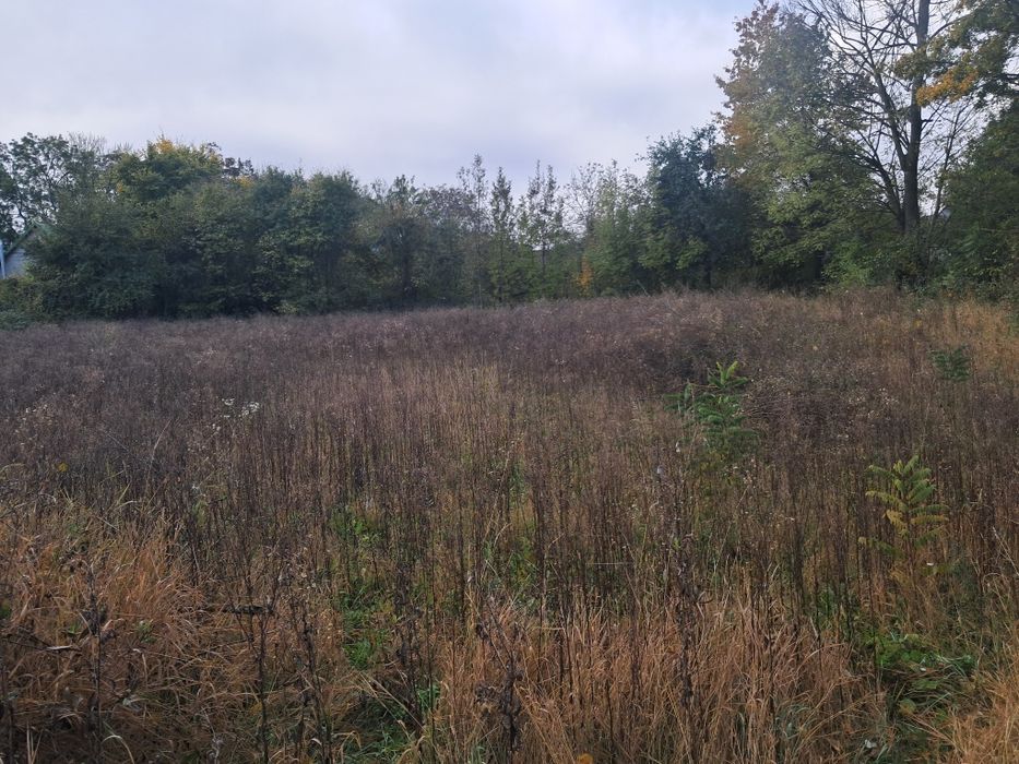 Терміново продається будинок у селі Россоша