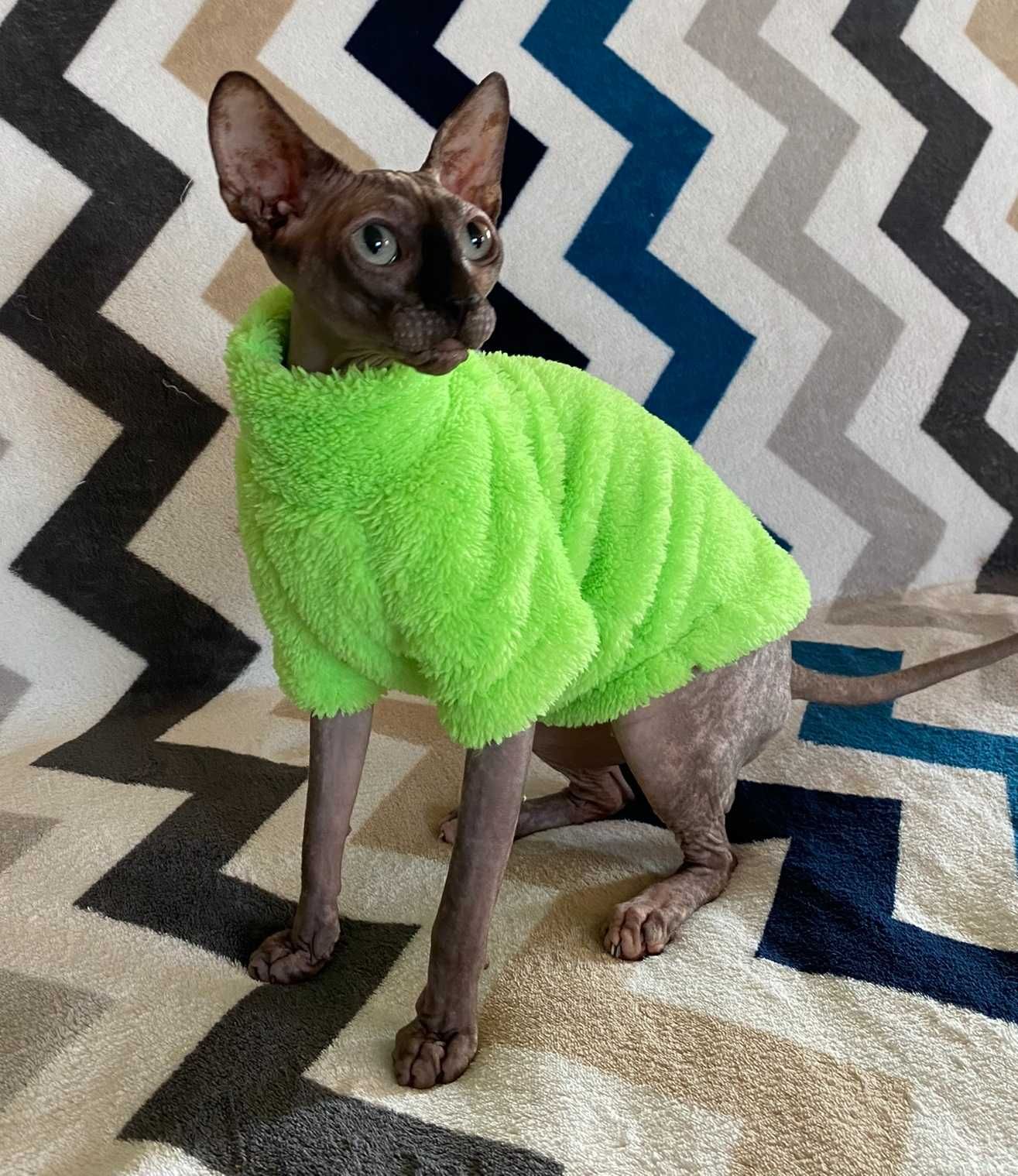 Ciepłe ubranko dla kota *zielone* Rozmiar XXL