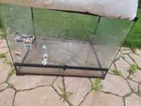Terrarium polecam używane