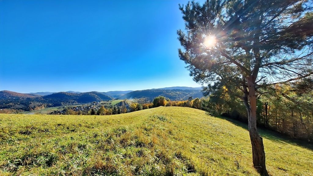 WOLNY DOMEK 2-5 os.Bieszczady Wołkowyja Jezioro Solińskie Solina