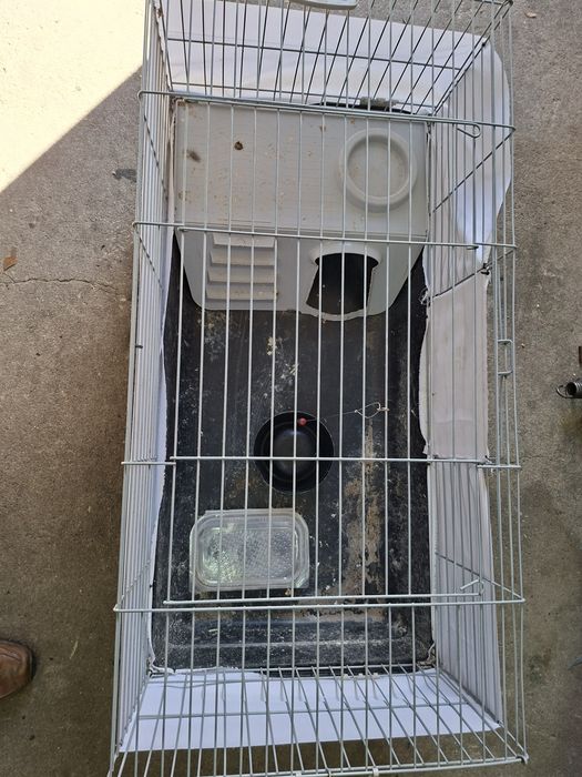 Gaiola para coelhos