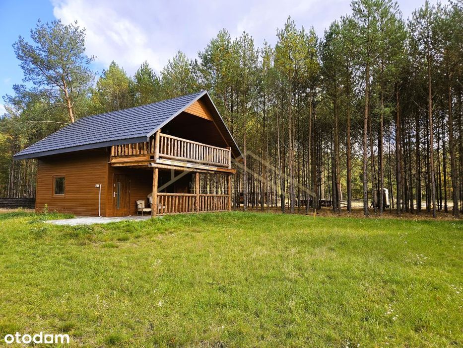 Drewniany dom letniskowy na 30-arowej działce w środku lasu