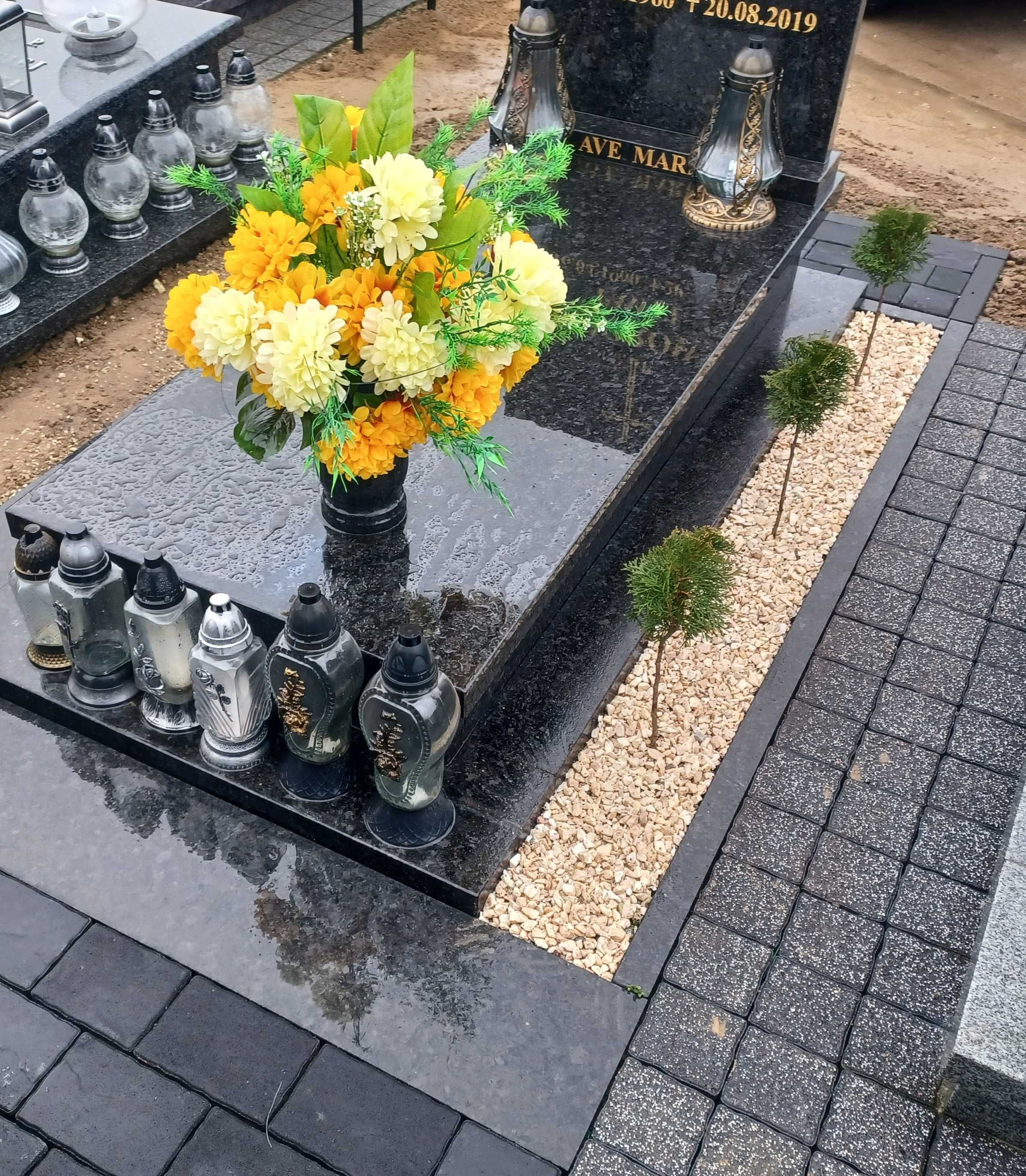 Tuja szmaragd formowana kulka na pniu