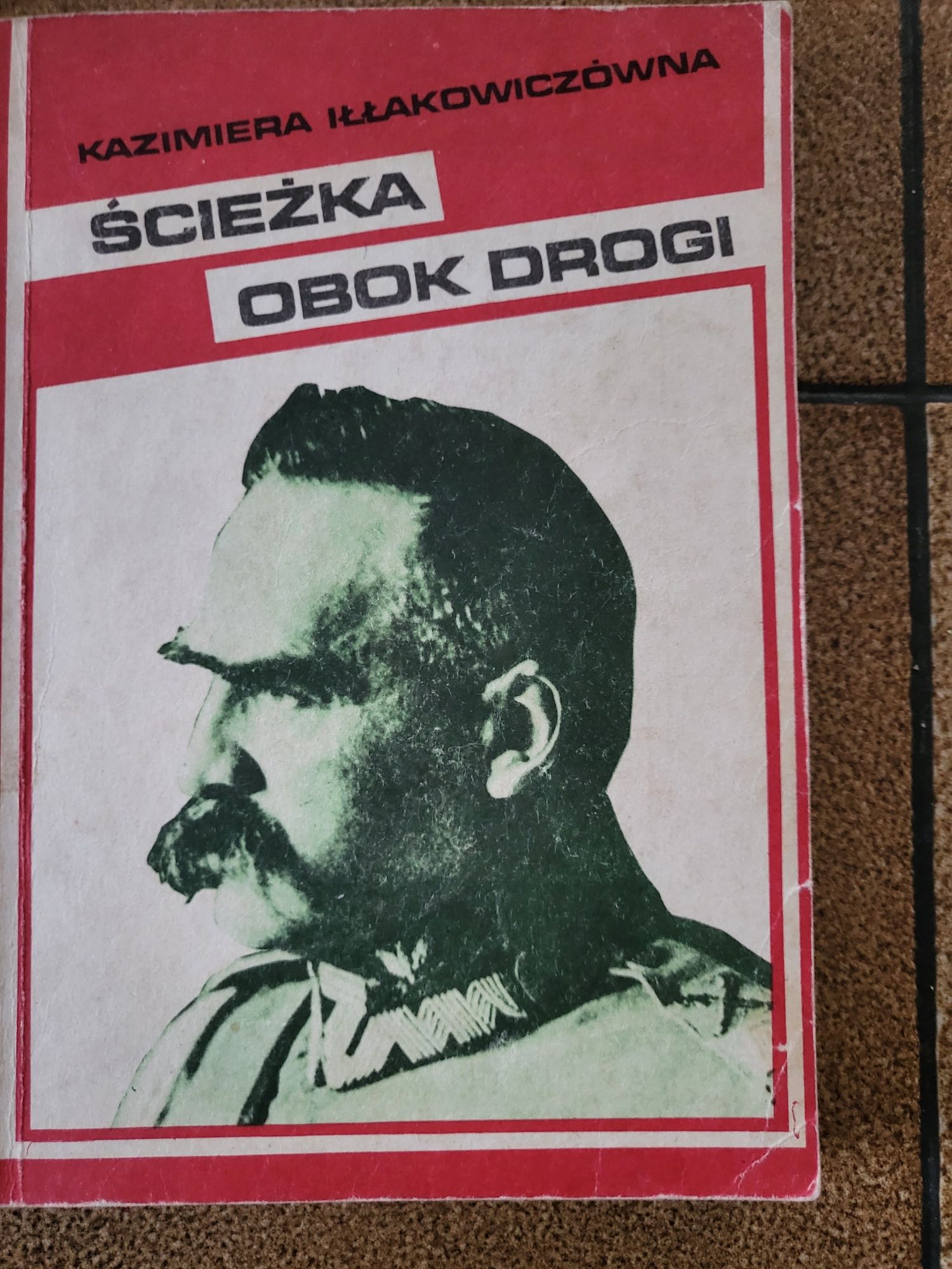 Ścieżka obok drogi Iłłakowiczówna